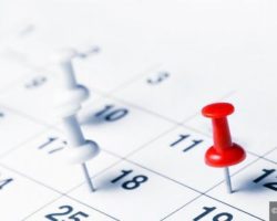 STEUERBERATUNG Steuerberater & Wirtschaftstreuhänder