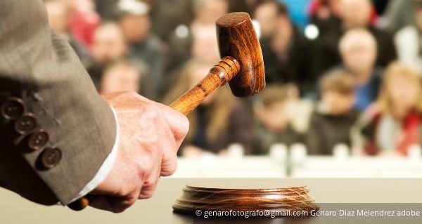 Gerichtliche Versteigerung eines Grundstücks