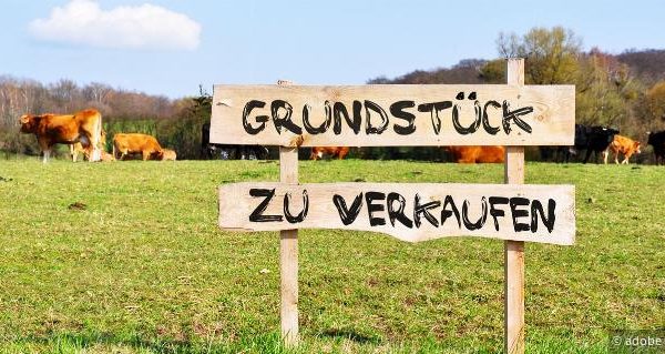 News 4 ImmoESt-Pflicht bei Umwidmung