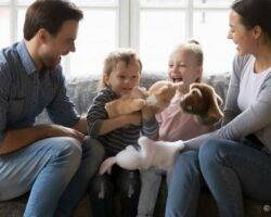 Erweiterung des Familienbonus Plus