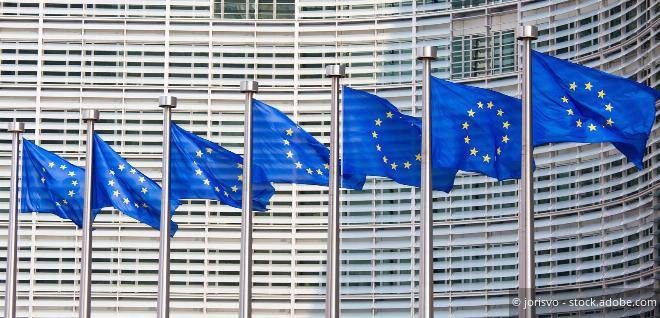 EU Adopts Minimum Tax Directive Steuerberater & Wirtschaftstreuhänder